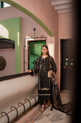 DARK DELIGHTS NLEC-PR 13