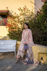 PEACH PETALS NLEC-PR 14